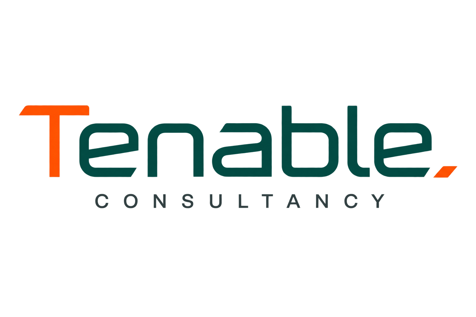 Tenable Consultancy